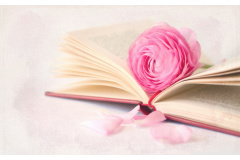 Honoring Minds that Shape the Future of Healthcare - Happy Teachers Day