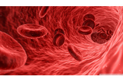 Together for a Thalassemia - Free Future   |    World Thalassemia Day