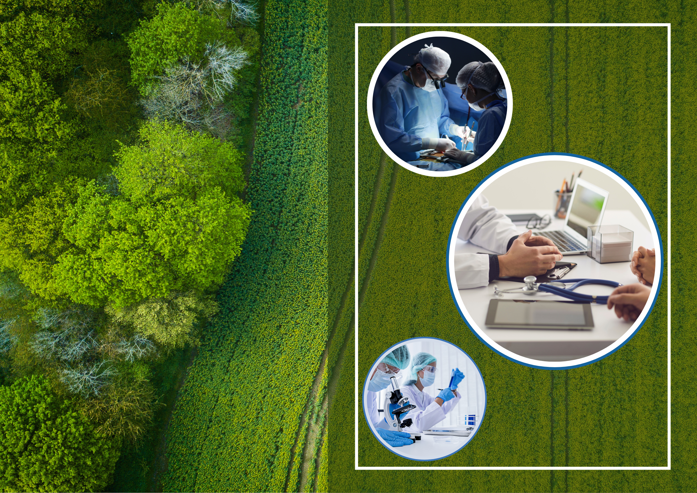   Excellence in Education & Healthcare - Nestled in Iran's Green North