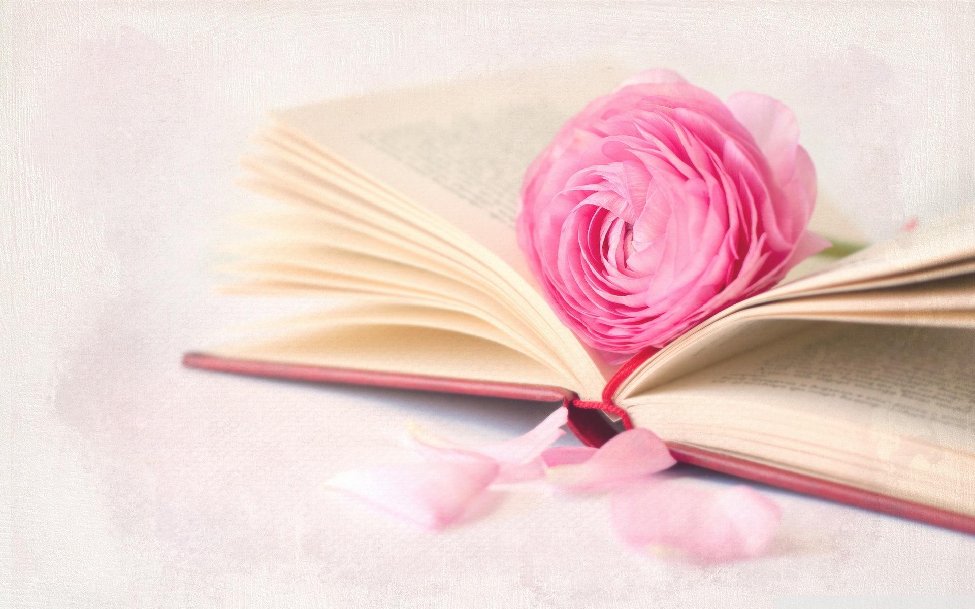Honoring Minds that Shape the Future of Healthcare - Happy Teachers Day
