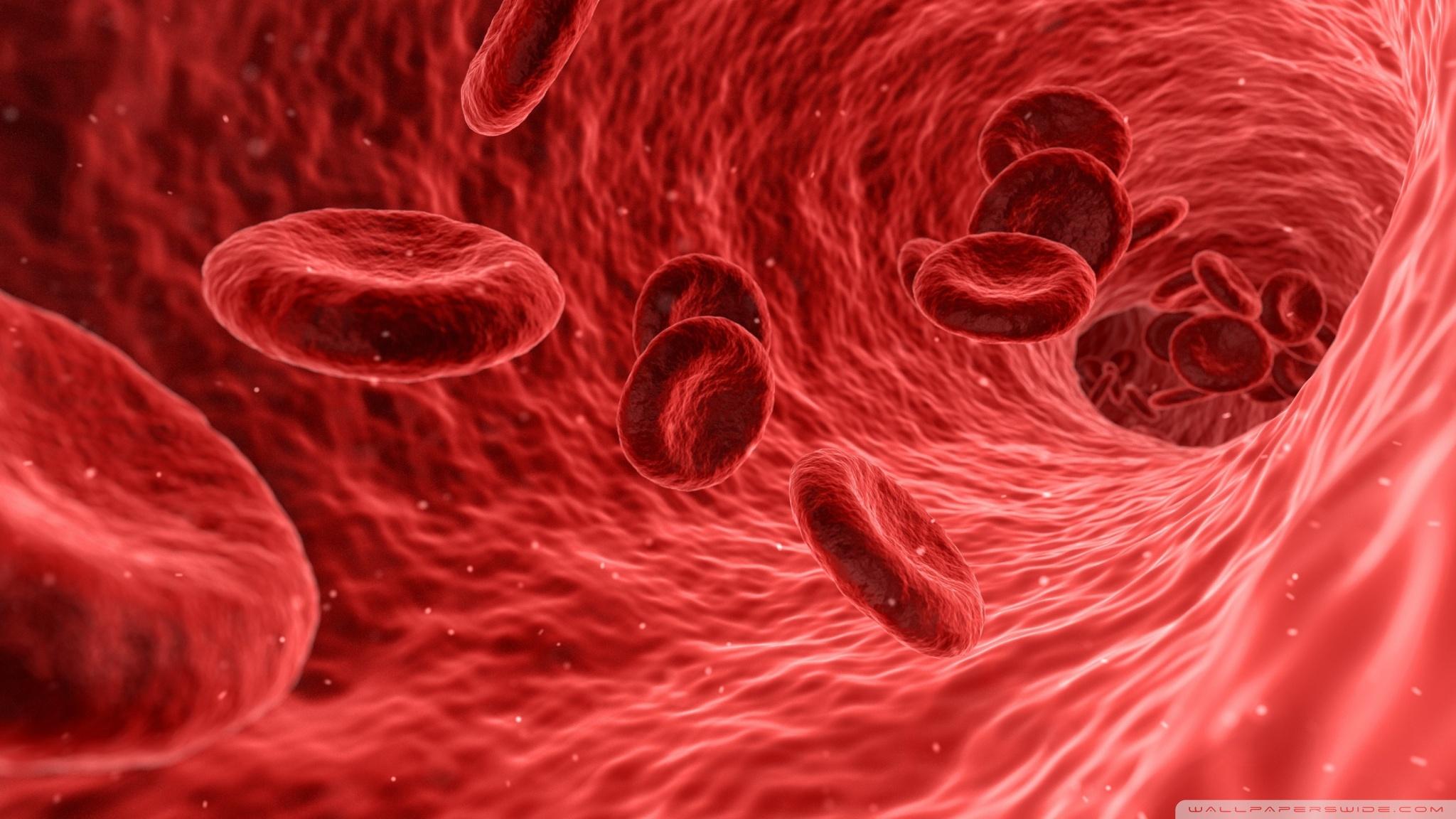 Together for a Thalassemia - Free Future   |    World Thalassemia Day