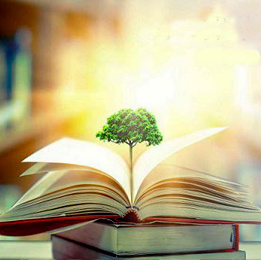 روزکتاب، کتابخوانی و کتابدار