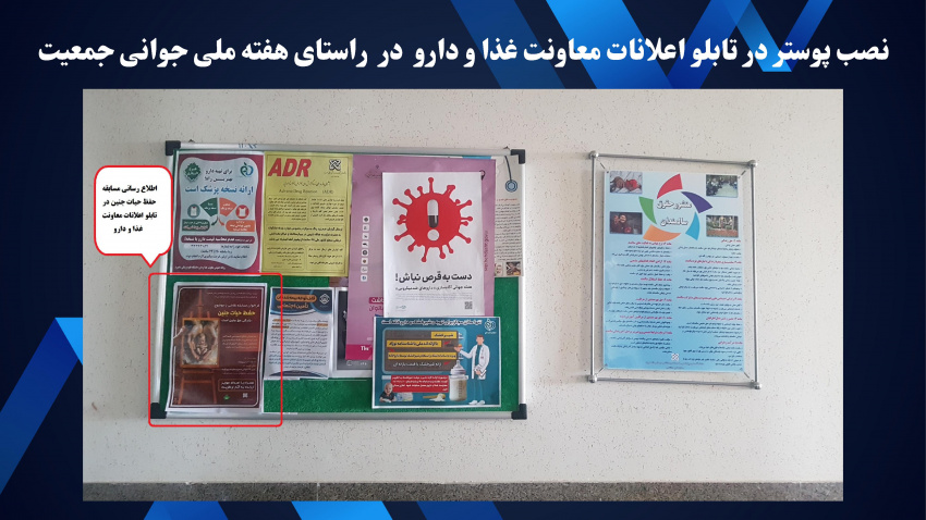 هفته ملی جمعیت
